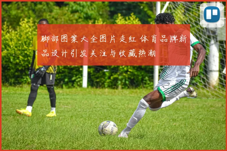 脚部图案大全图片走红 体育品牌新品设计引发关注与收藏热潮
