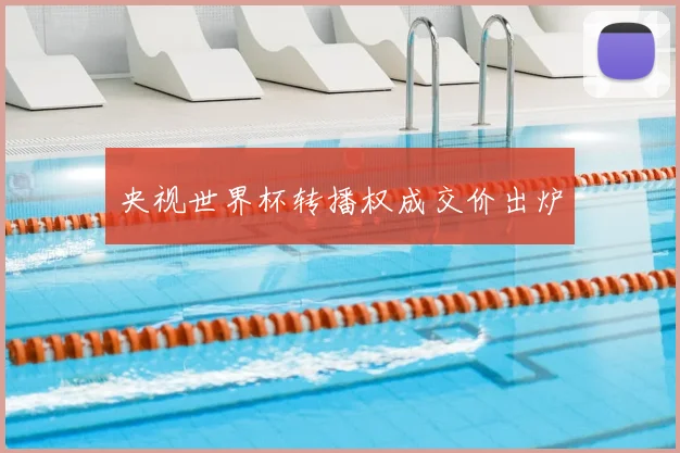 央视世界杯转播权成交价出炉