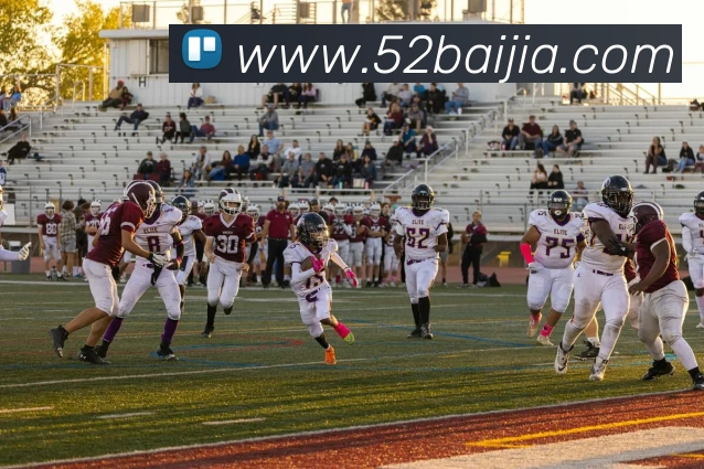 kaiyun登录入口发展历程